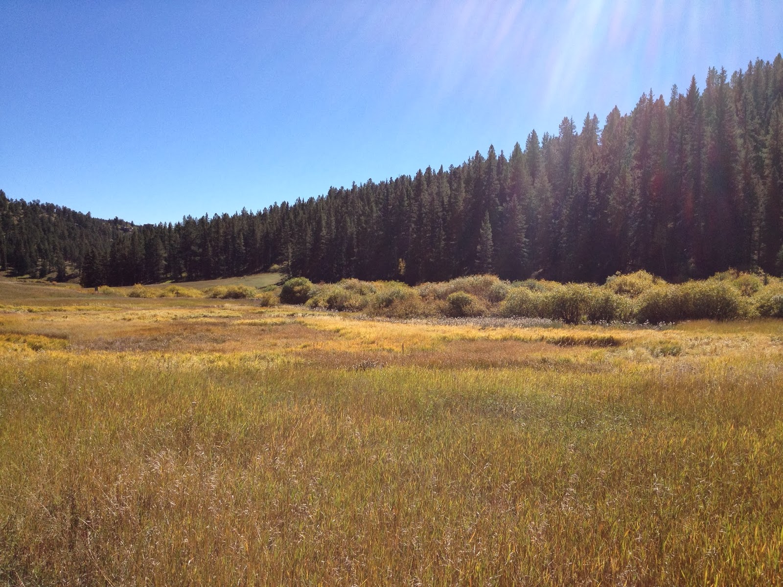 Take A Break Conifer Community Park, Conifer, Colorado