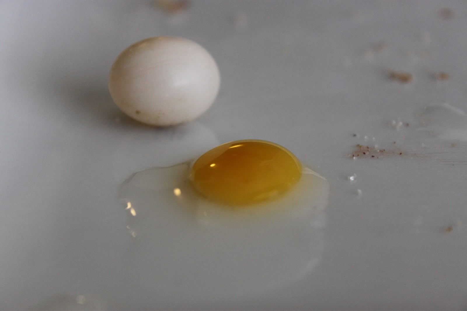 Cooper Cookin' A Bad Egg