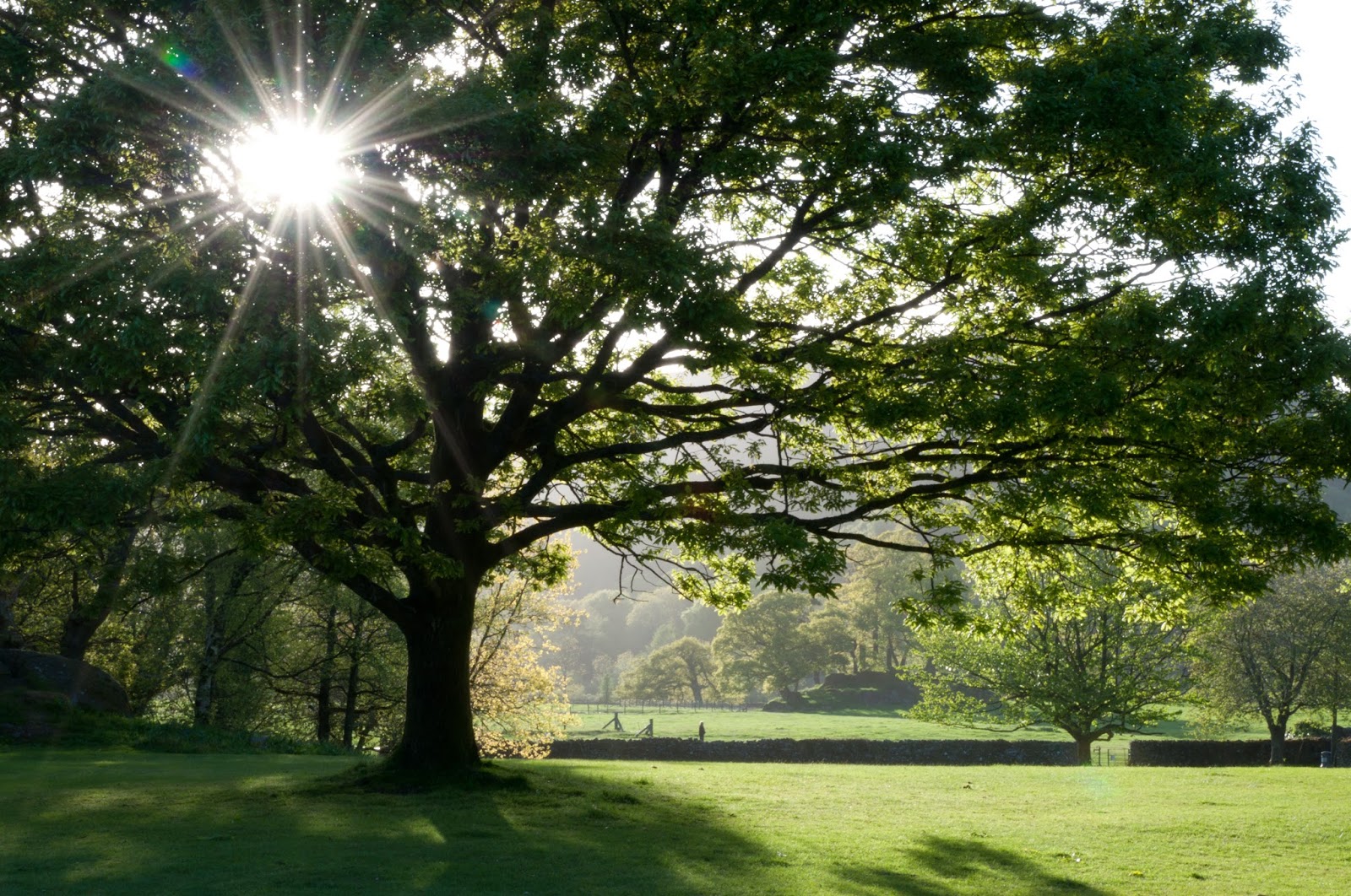 Out There Studio Photography / People / Travel A bit of fresh air!