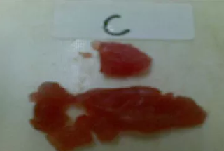 Ciri-ciri ikan tuna grade C