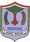 Kota Binjai Lowongan CPNS Binjai, Kota Binjai