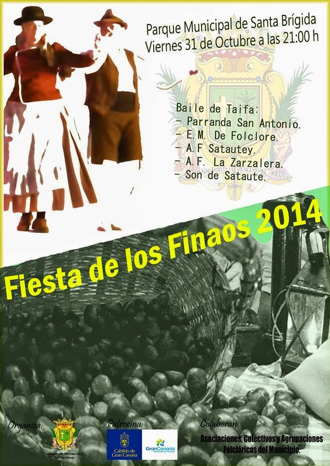 Santa Brígida: Finaos 2014