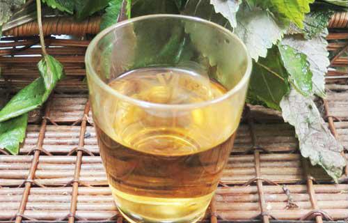 Lá tía tô tươi nấu nước pha mật ong uống trước bữa ăn, điều kỳ diệu sau 7 ngày Lá tía tô tươi nấu nước pha mật ong uống trước bữa ăn, điều kỳ diệu sau 7 ngày
