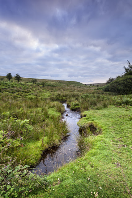 A little stream flows through the Exmoor landscape by Martyn Ferry Photography