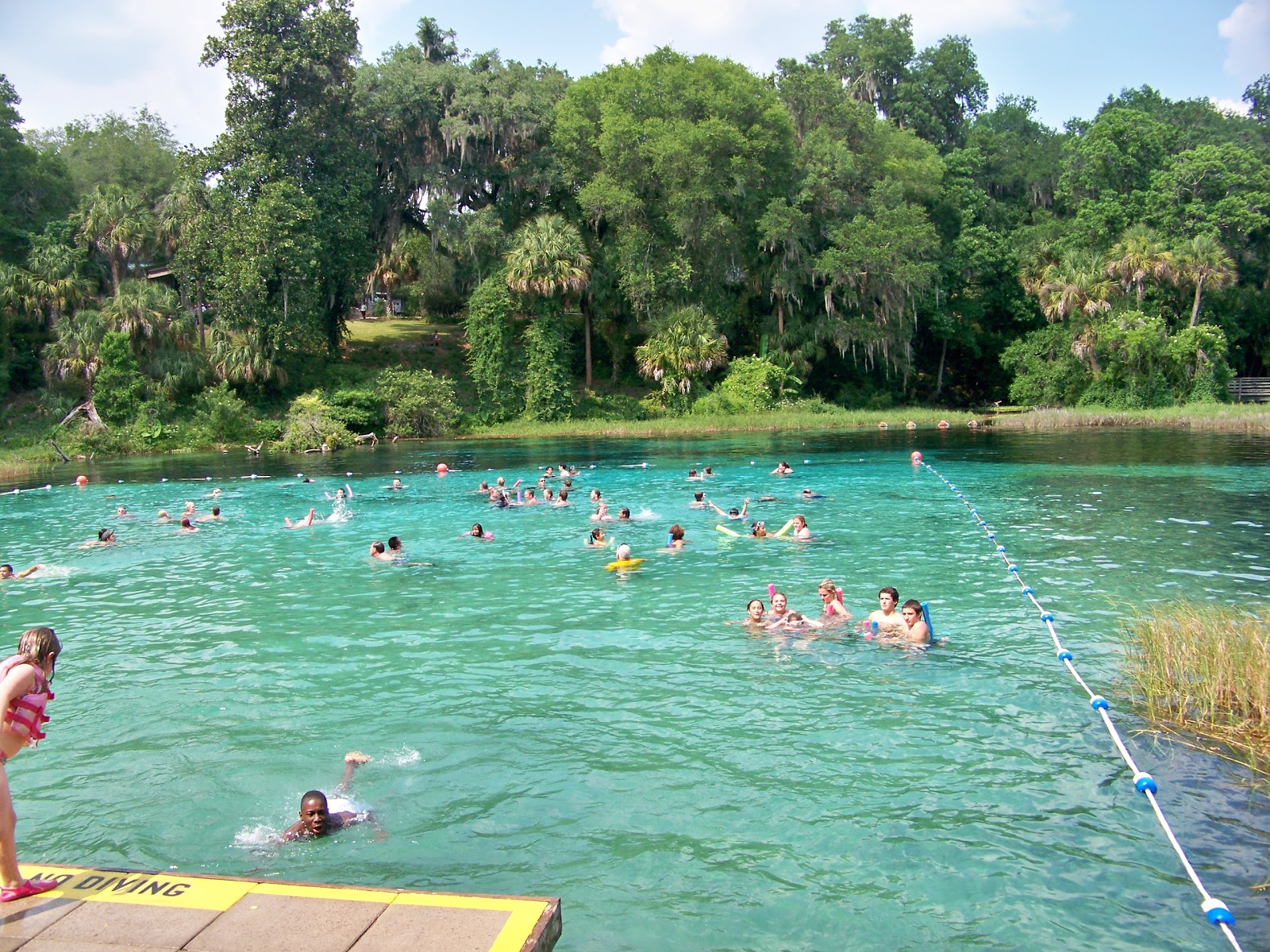 Driving Three Prince Girls Rainbow River