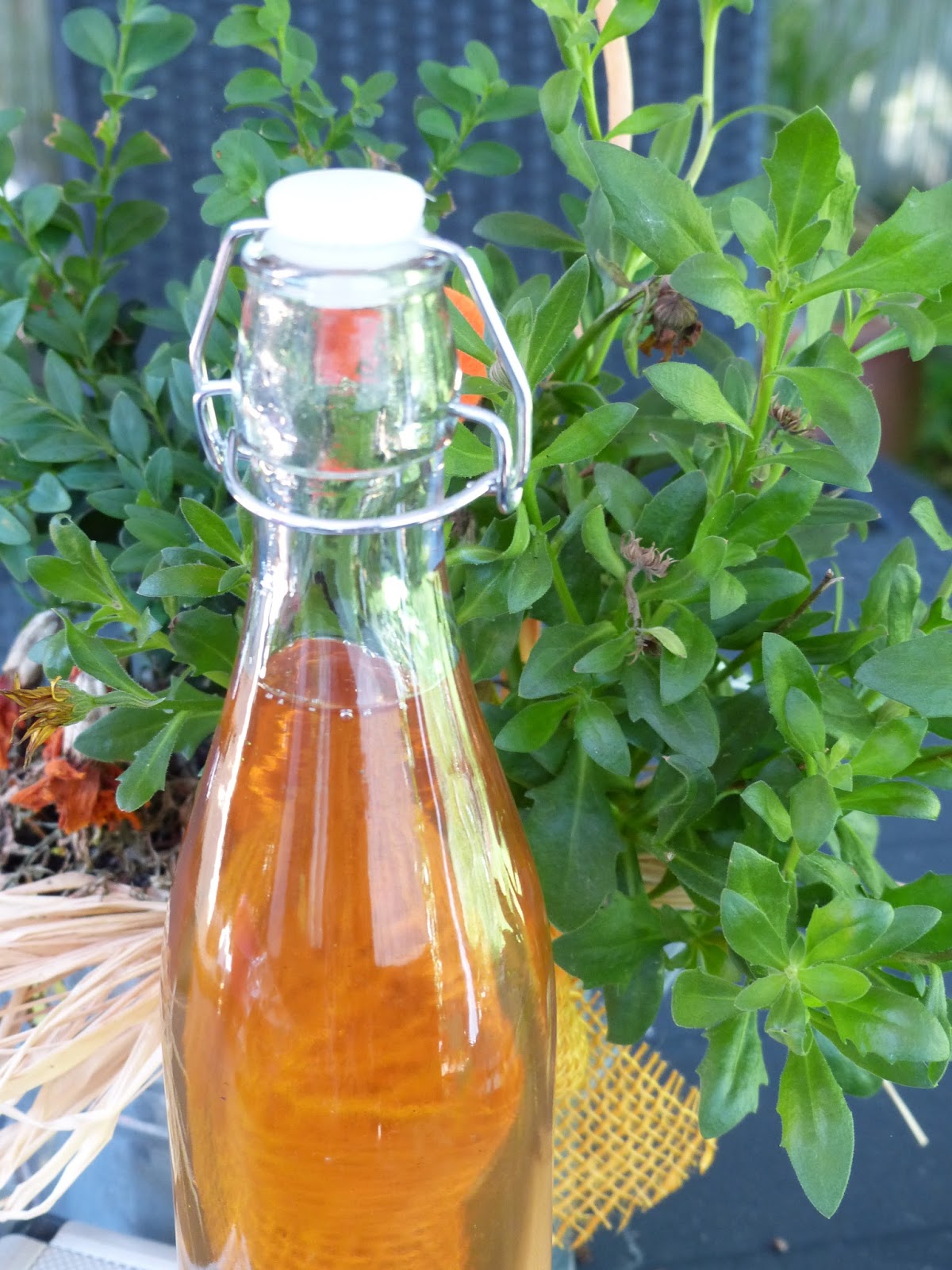 Apfel ~ Minz ~ Sirup — Verboten Gut