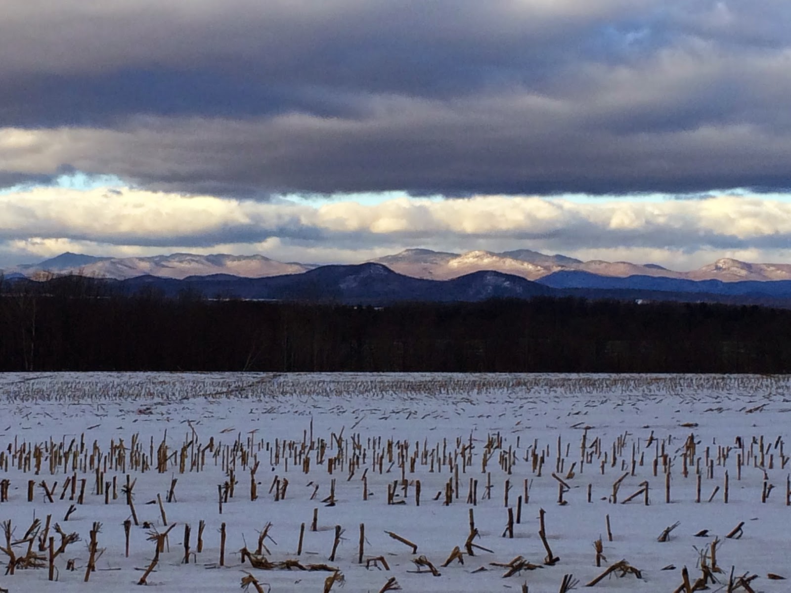 Spicebush Log Merry Christmas from Champlain Valley