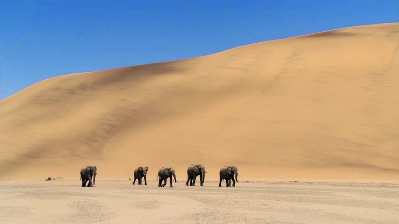bbc-planet-earth-bbc-planet-earth-deserts