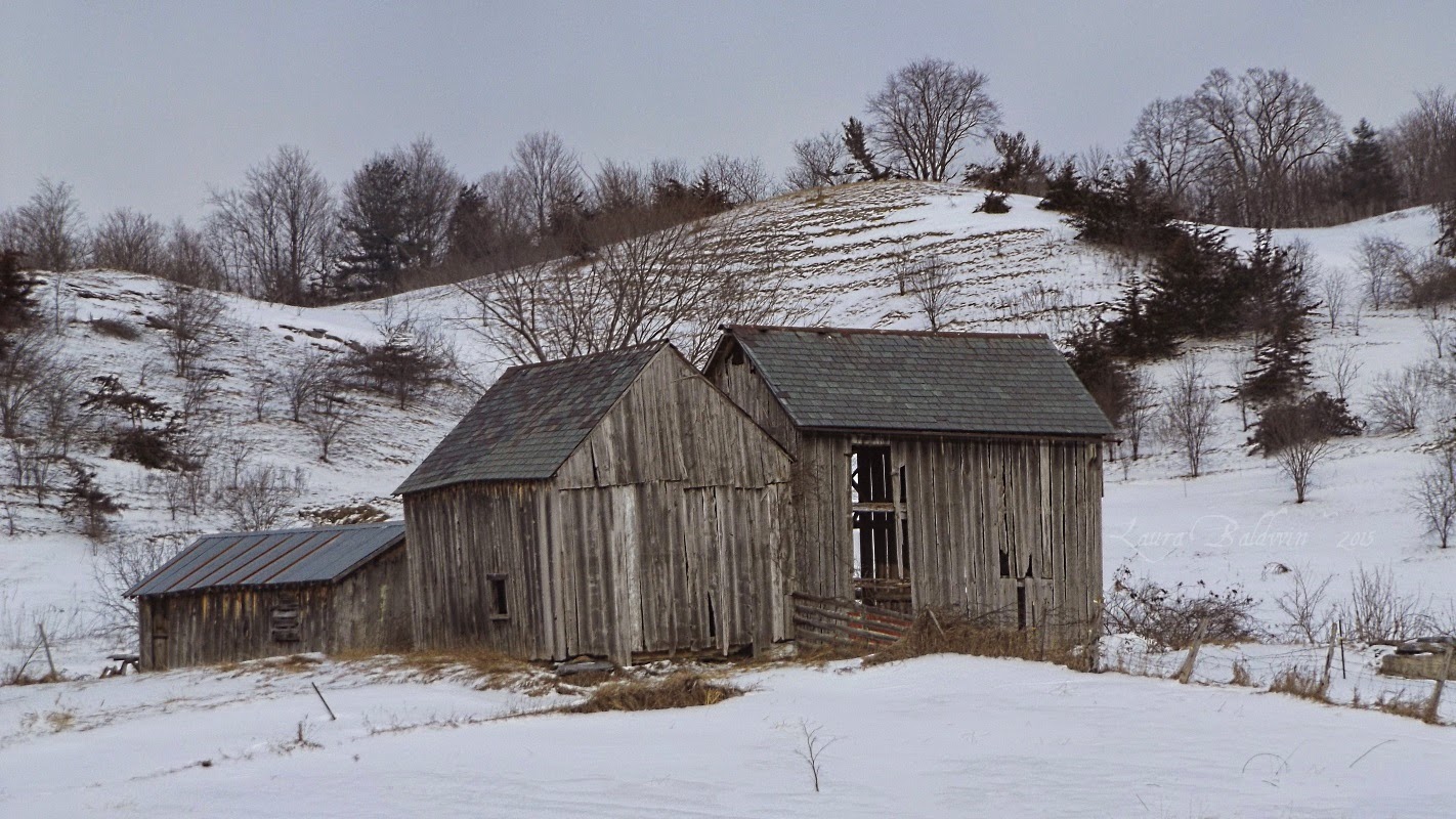 Wildenblue Farm Journal Saturday drive near Benson, Vermont