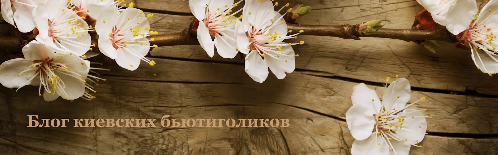 Блог киевских бьютиголиков