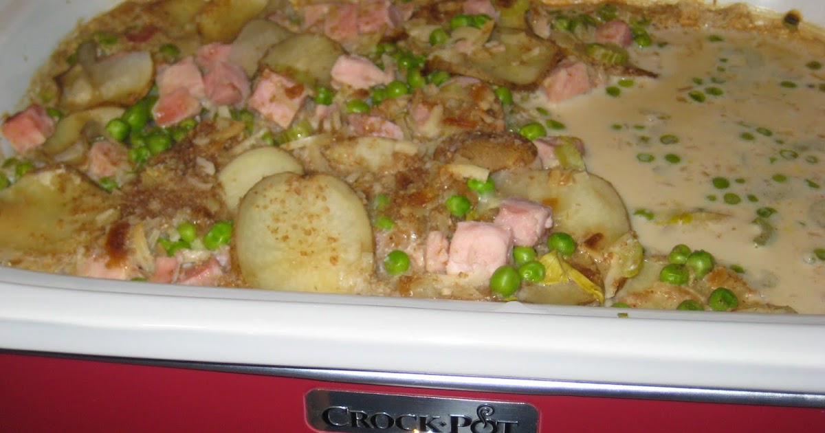 Pondering Cat Casserole Slow Cooker