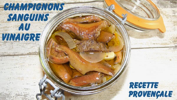 Champignons Sanguins Au Vinaigre Vinaigre Champignons Fab Champignons Sanguins Au Vinaigre Vinaigre Champignons Fab