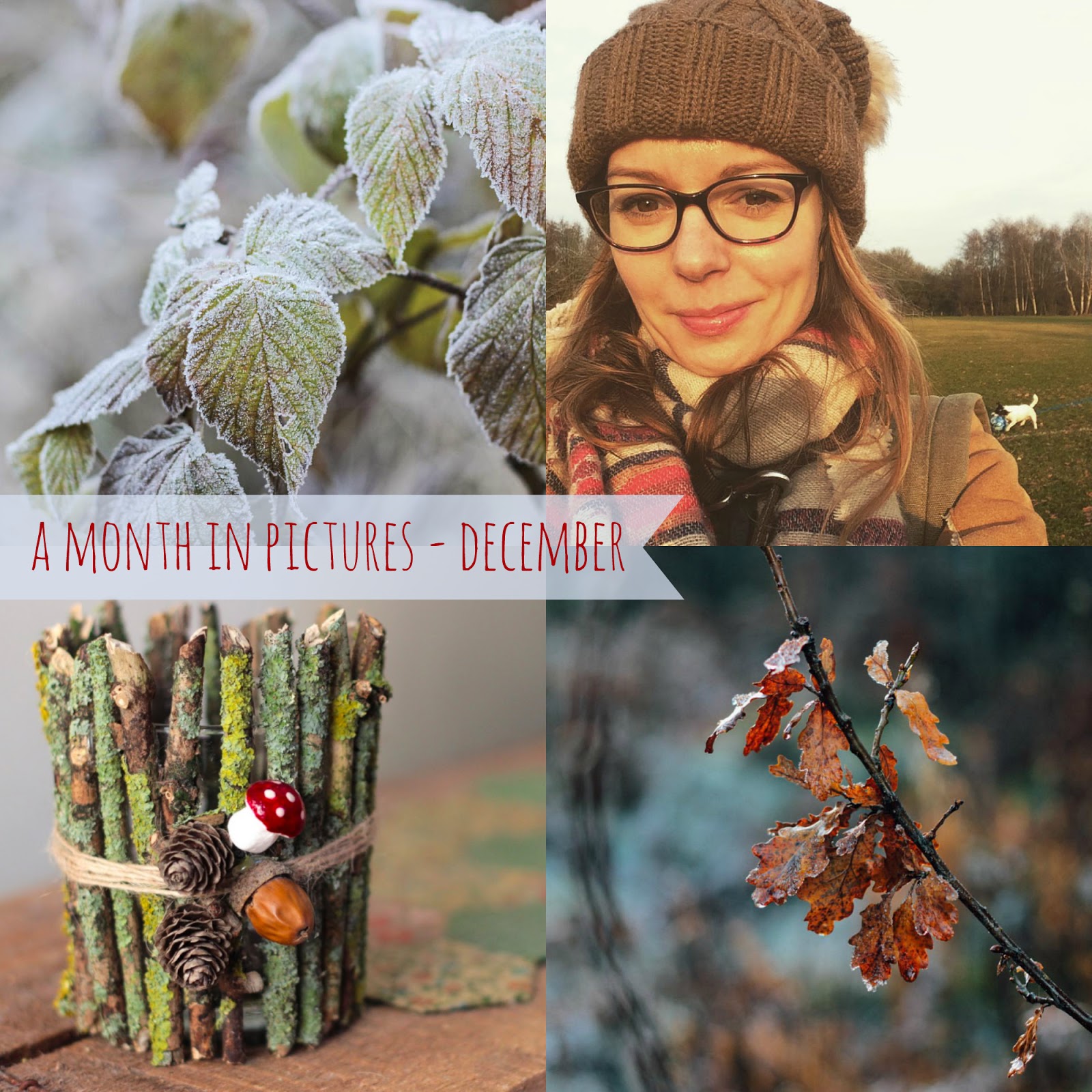 A handmade cottage: A month in pictures - A frosty December