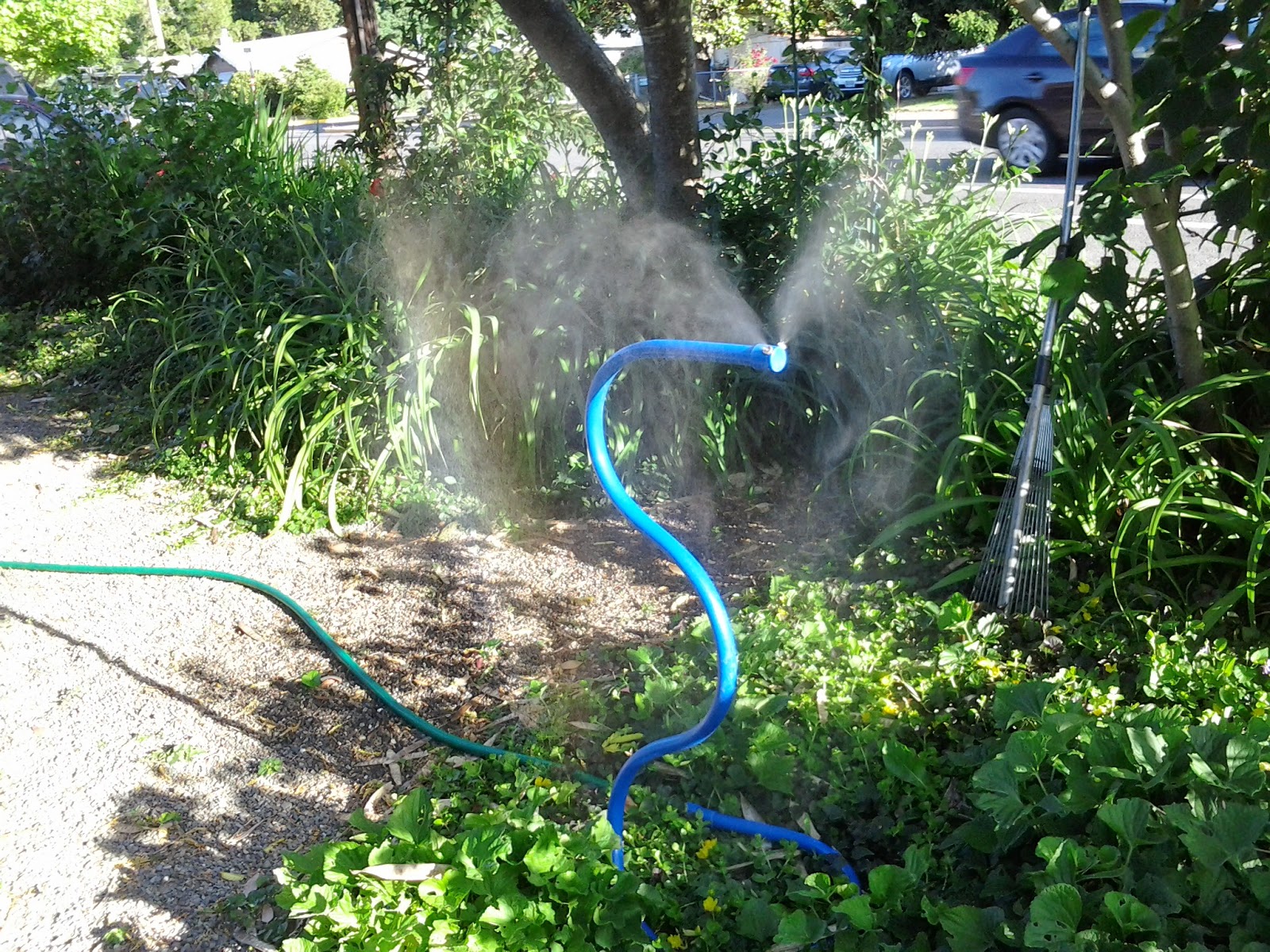 Garden Grants Pass Cool off and Make Rain with Misters