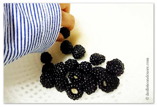 wild blackberry more-di-rovo
