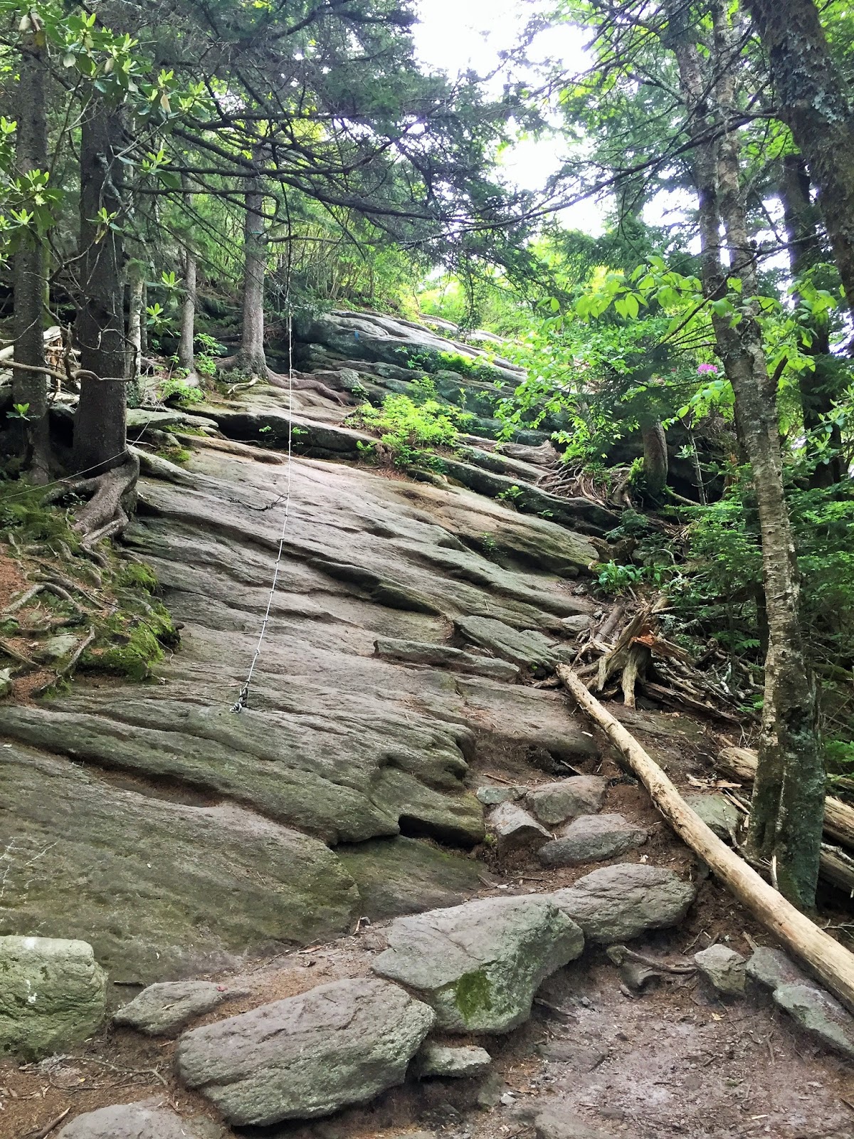 Down the Road Chutes & Ladders Hike on Grandfather Mountain NC