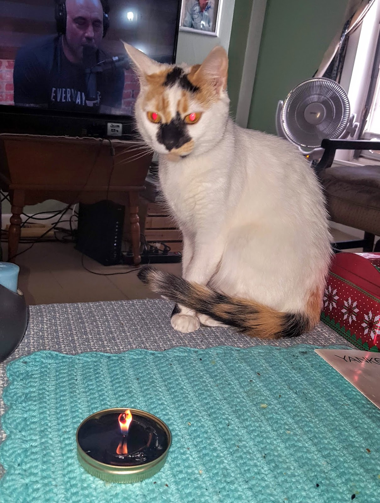 Smell This Yankee Candle Home Inspiration Moonlit Night