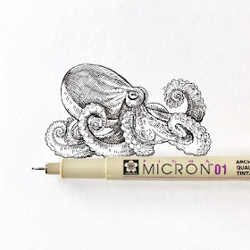 13-Octopus-August-Lamm-www-designstack-co