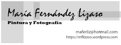 PATROCINADOR MARIA FERNANDEZ LIZASO