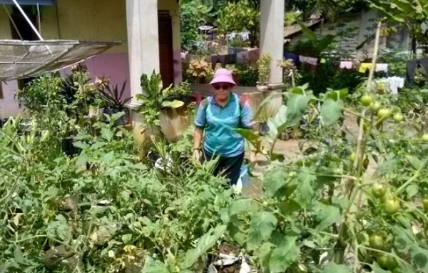 KKKKKKKK Tim Penggerak PKK Sekadau Tinjau Dasa Wisma di Kampung Hatinya PKK