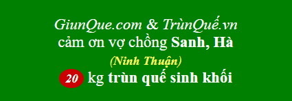 Trùn quế Ninh Thuận