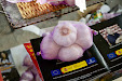 XLI Garlic International Fair