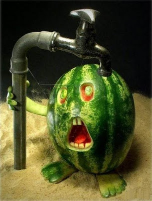 creative_art_with_food_funny_and_amazing_pictures-00004.jpg