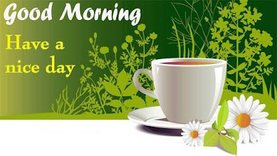 good morning shayari good morning shayari