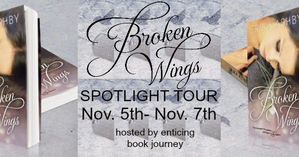 Into The Night Book Reviews Spotlight Tour Broken Wings By Erika Ashby