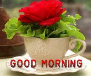 Good Morning Good Morning