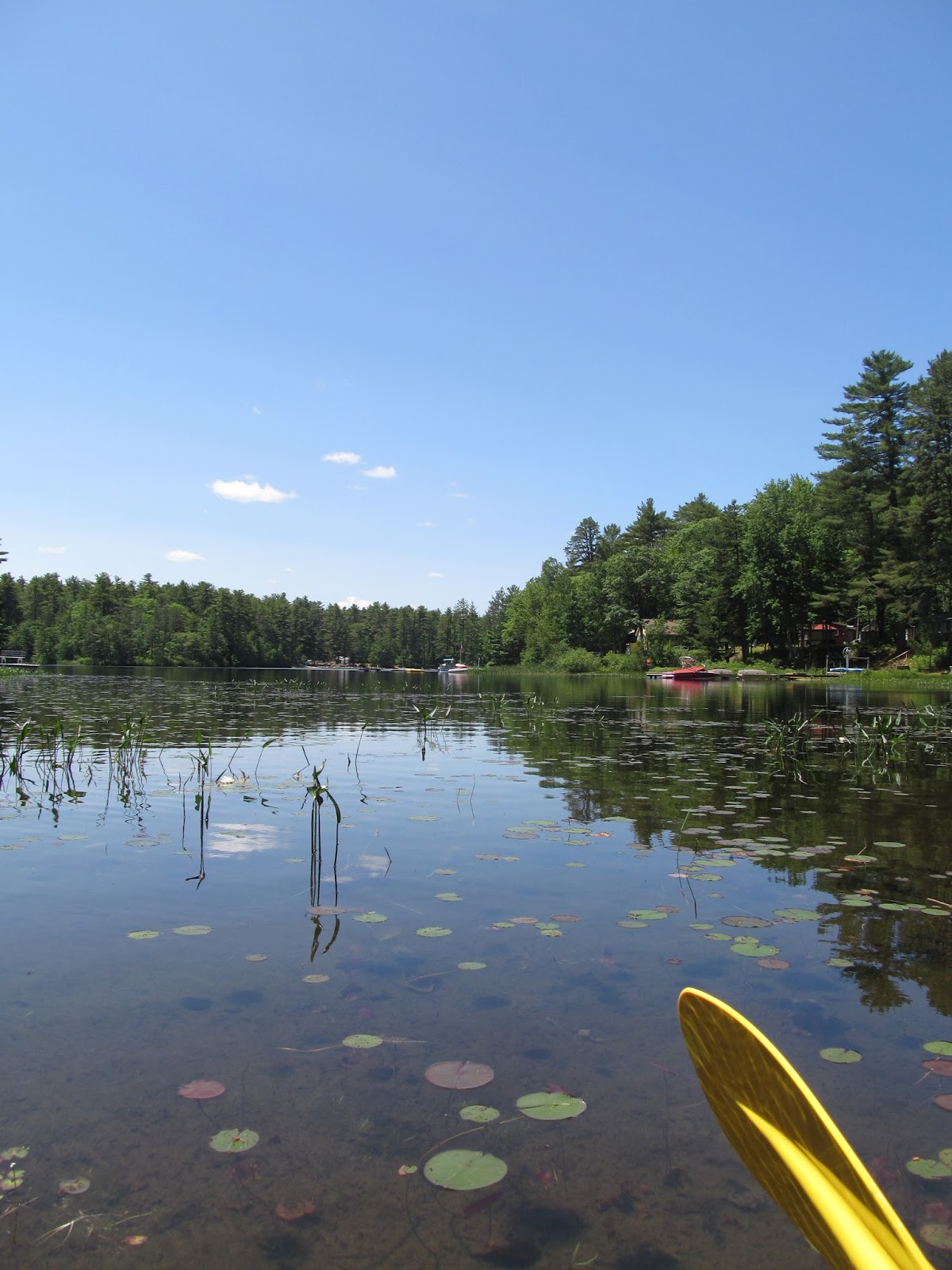 Recreational Kayaking in Maine Horne Pond, Limington
