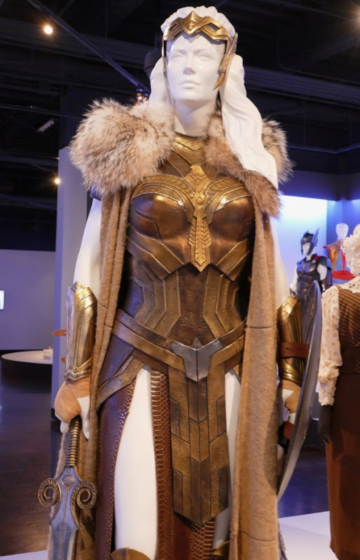 Wonder Woman Hippolyta costume Wonder Woman Hippolyta costume