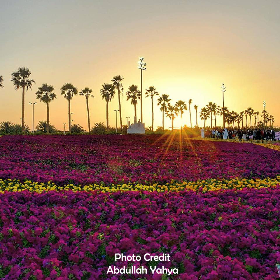 Jeddah Daily Photo Yanbu Flowers Festival 2019 Scheduled