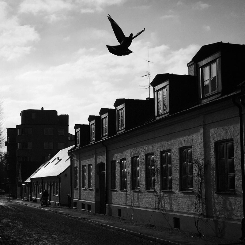 Lovely view of Lund, Sweden in Black and White Photographs by Markus Sturfelt.