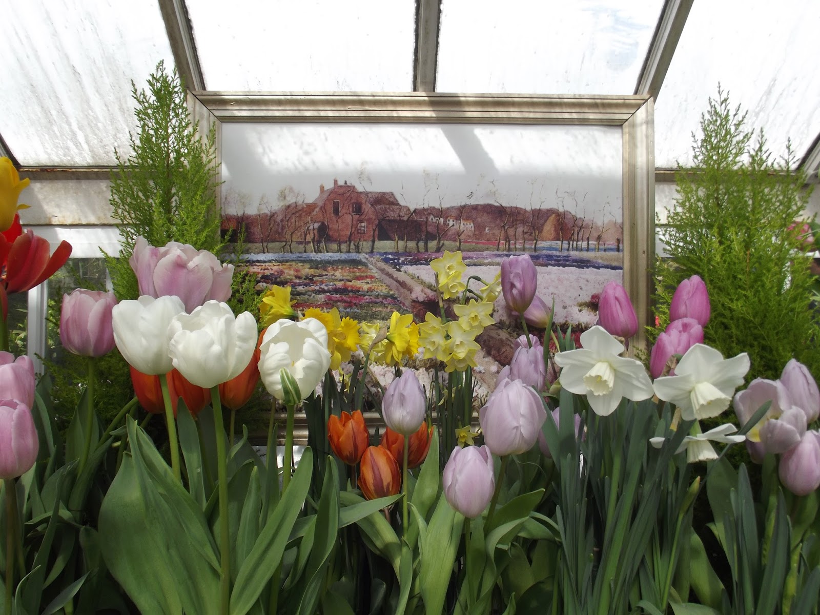 The Old Granite Step Visit the Spring Bulb Show at Smith College!