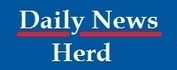 Daily News Herd