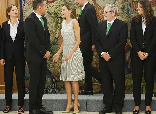 Queen Letizia wore Hugo Boss pleated Skirt occasion dress, Magrit pumps and Tous Jewelers Gold diamond earrings