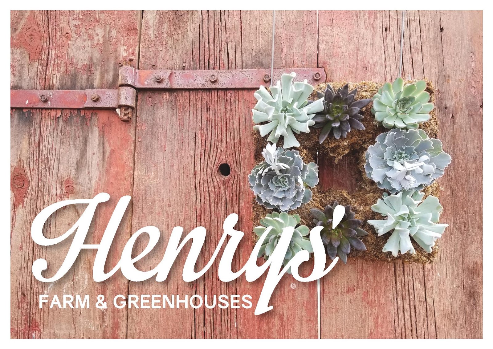 Henrys' Farm and Greenhouses Spring 2018 Hours & Opening Day