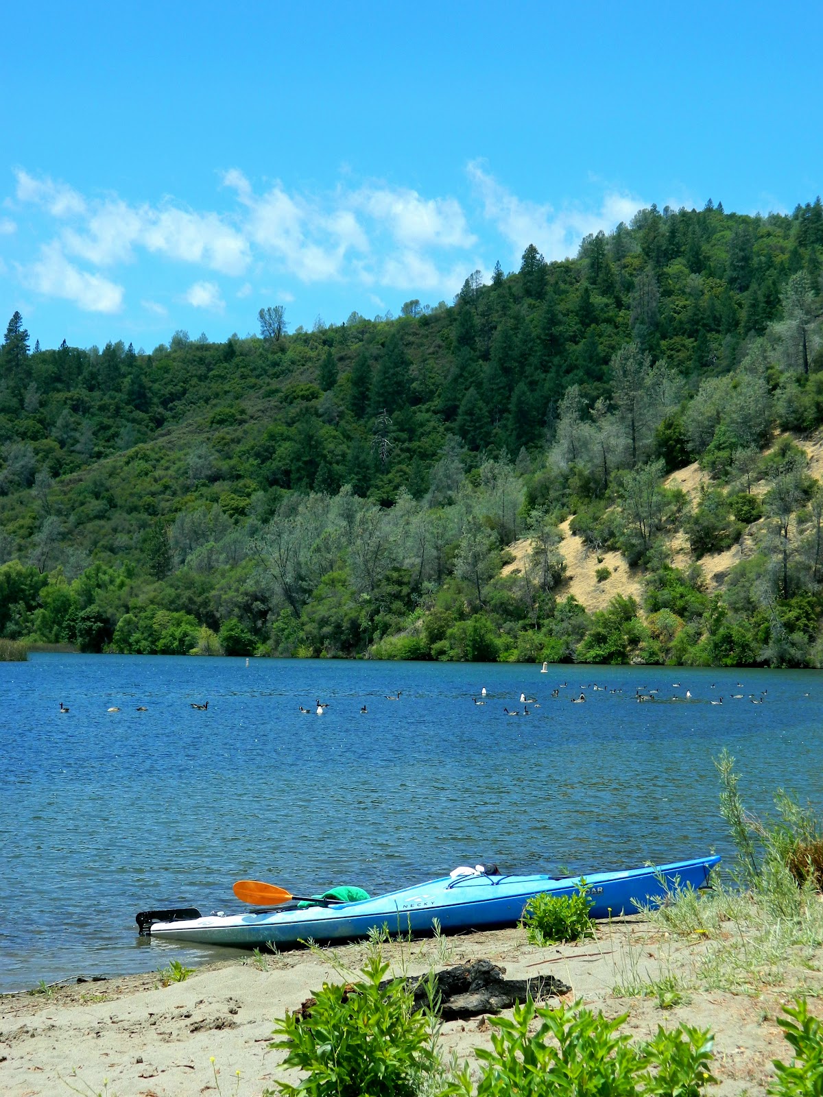 The Cyclist's Wife Anniversary Kayaking on Upper Lake Clementine