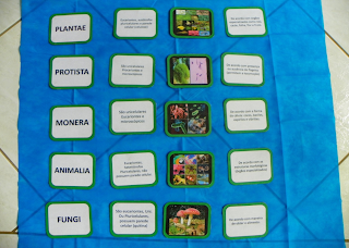 JOGANDO, APRENDENDO E ENSINANDO: JOGO DA MEMÓRIA BIOLÓGICO