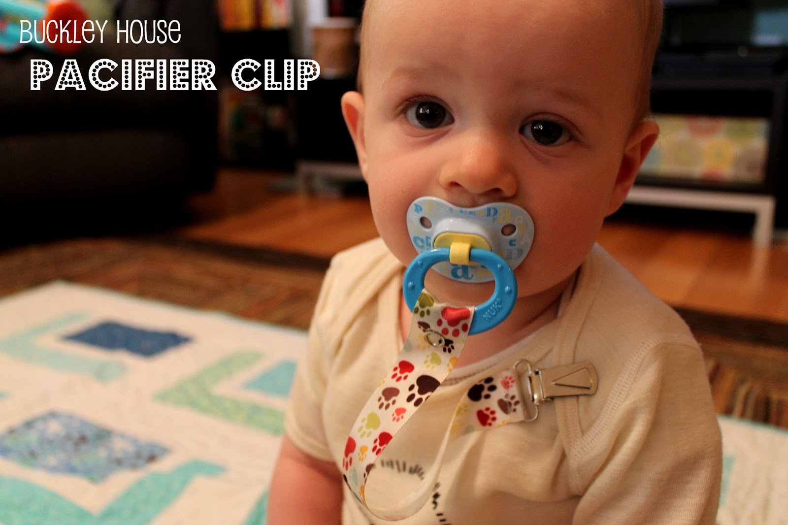 Itty Bitty Blog Pacifier Tether