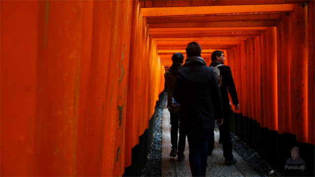 Torii Gate di Fushimi Inari Taisha Torii Gate di Fushimi Inari Taisha