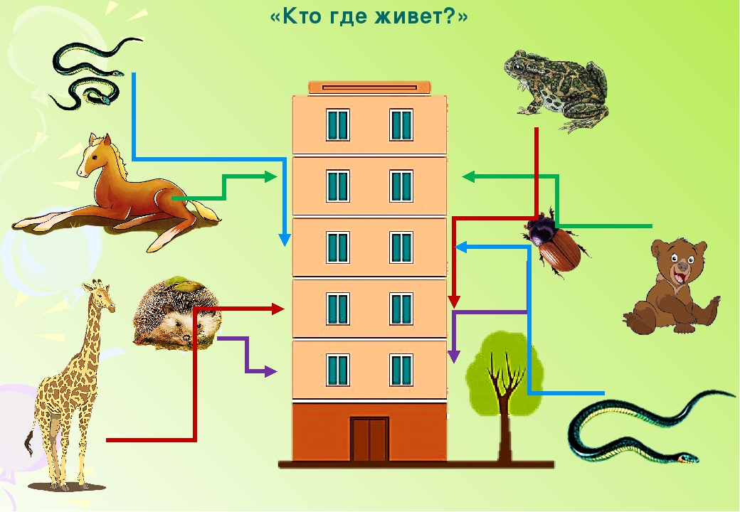 место звука в слове. место звука в слове. определи место каждого из этих эпизодов. определи место звука в слове. определи место каждого из этих эпизодов.