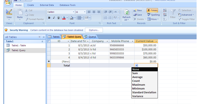 Perform Excel Calculations in Access | Accounting Education