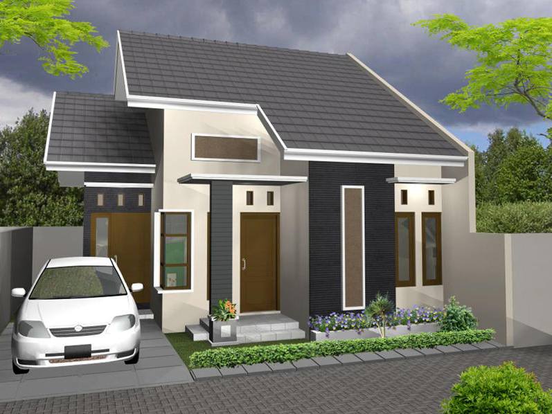 60 Gambar  Rumah  Minimalis  1  Lantai  Tampak  Depan dan Warna 