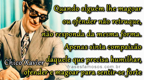 Quando Alguém lhe Magoar ou Ofender não Retruque - Frases de Chico Xavier