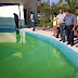 Bichos se solazan en el verdín de piscina del parque Renacimiento, Col. Emiliano Zapata Sur III