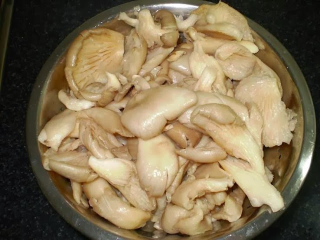 cogumelos escorrendo a água Receita de macarrão com cogumelos ao molho de queijo