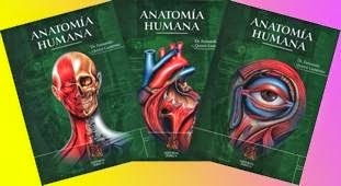 Anatomia Quiroz Pdf