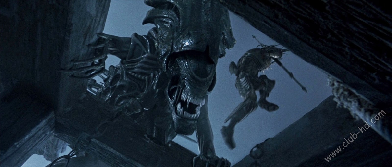 Alien_vs_Predator_UNRATED_CAPTURA-14.jpg